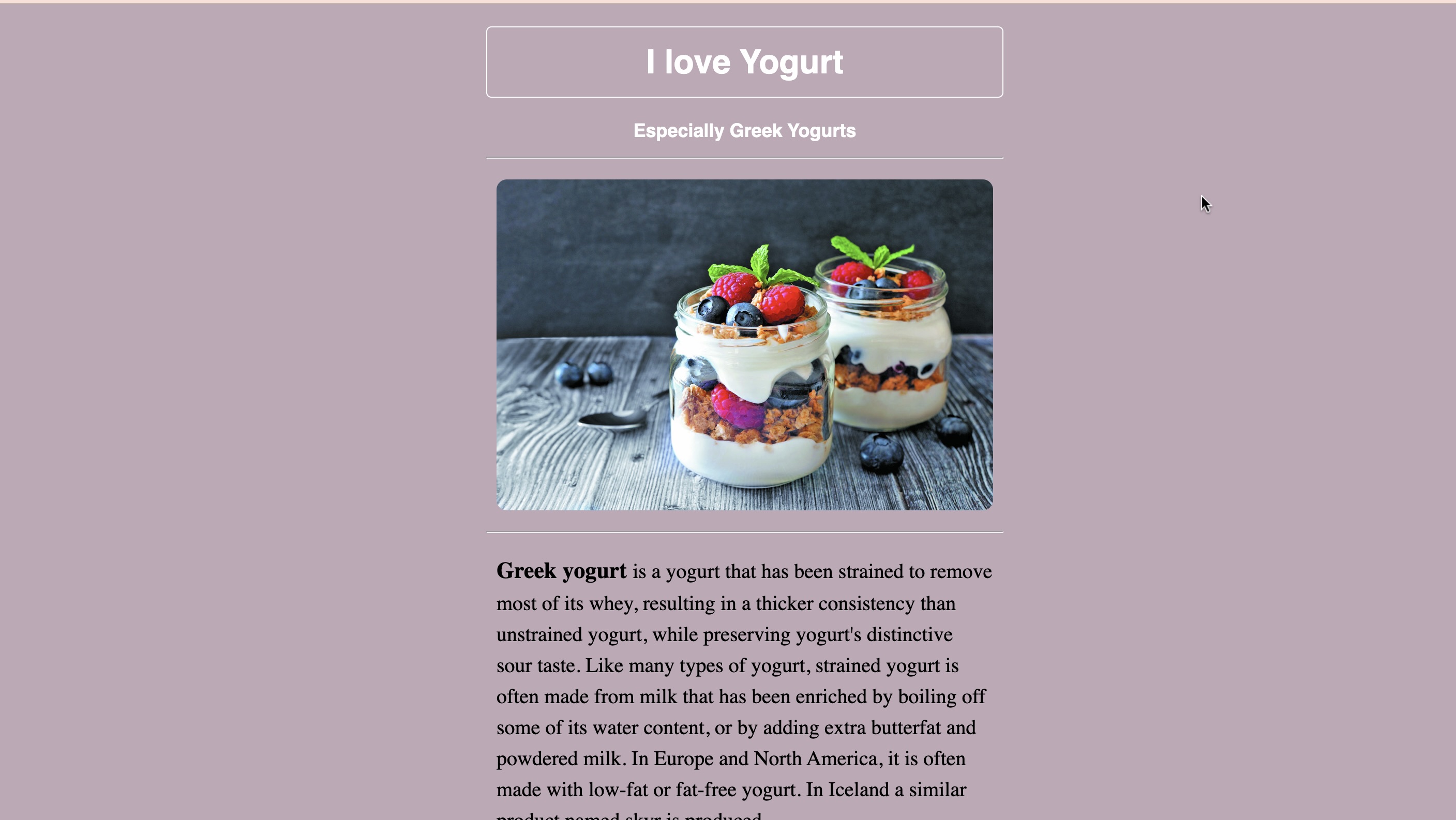 Yogurt Project preview